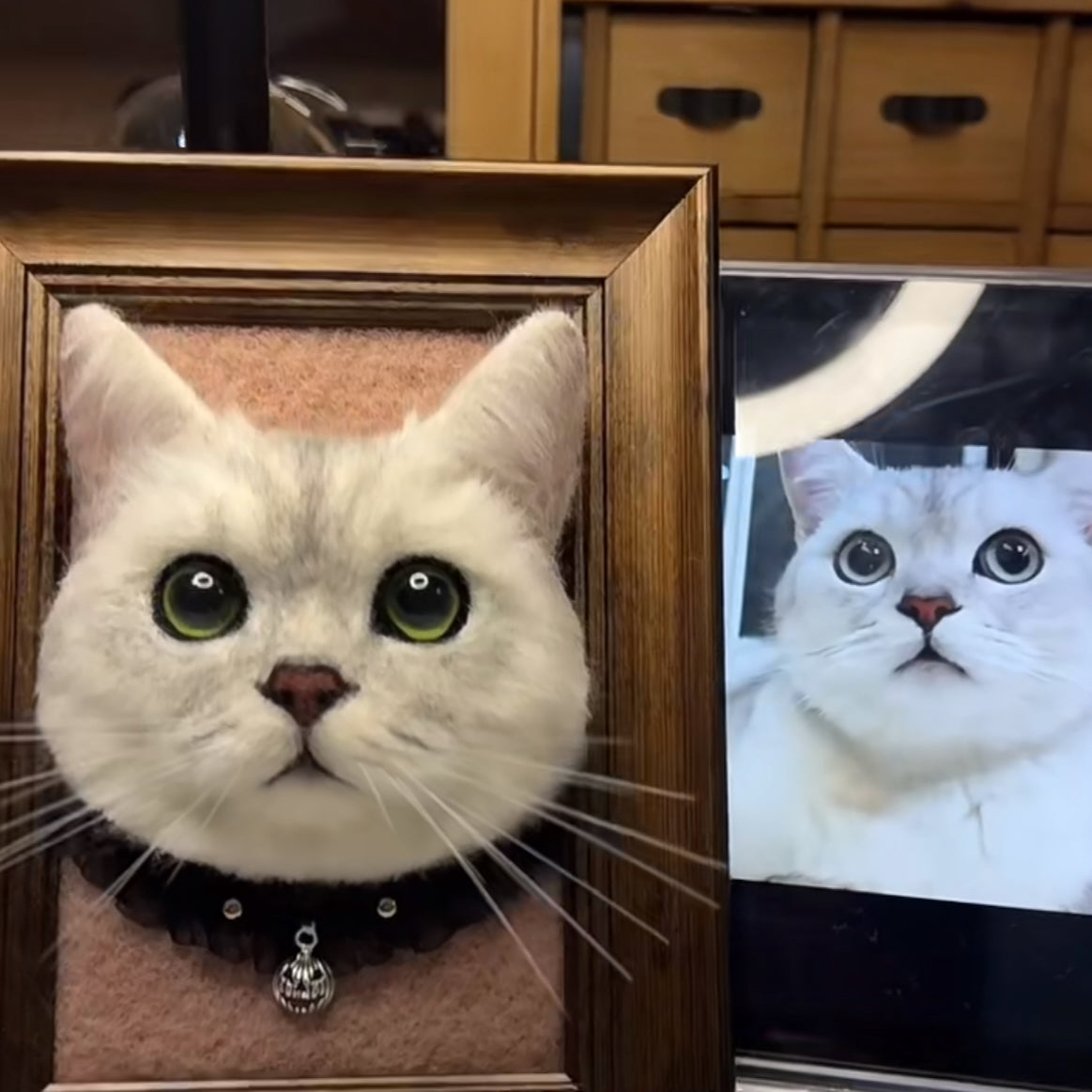 Needle Felt Cat Photo Frame Customization