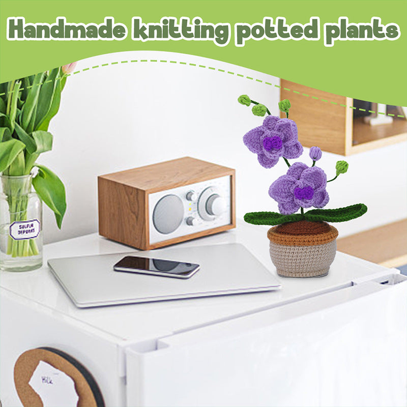 Phalaenopsis Potted Plant Crochet Kit