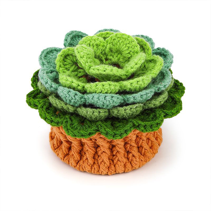 Green Plant Coaster Crochet Kit