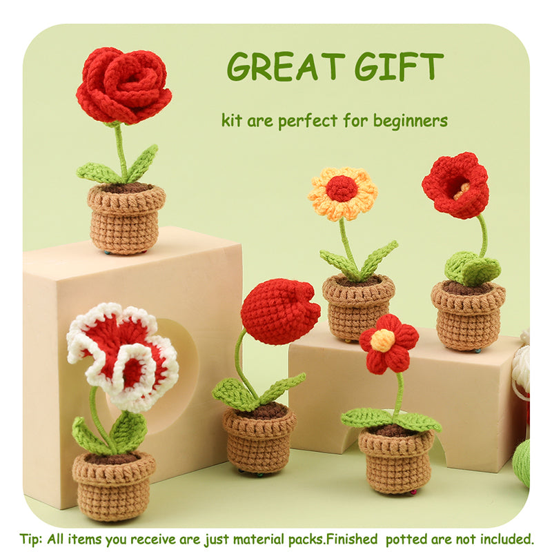 Flower Potted Crochet Kit-6 Pieces